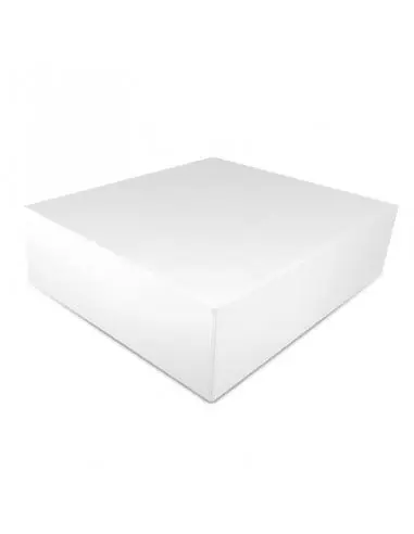 BOITE PATISSIERE BLC N48H (50P)