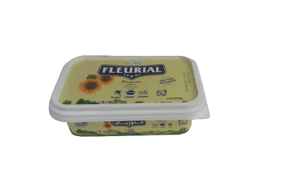 MARGARINE FLEURIAL 250GR 