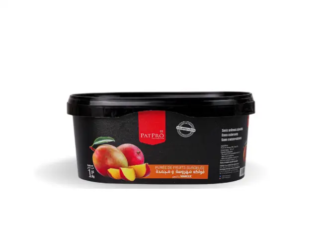 PUREE DE FRUIT MANGUE PATPRO