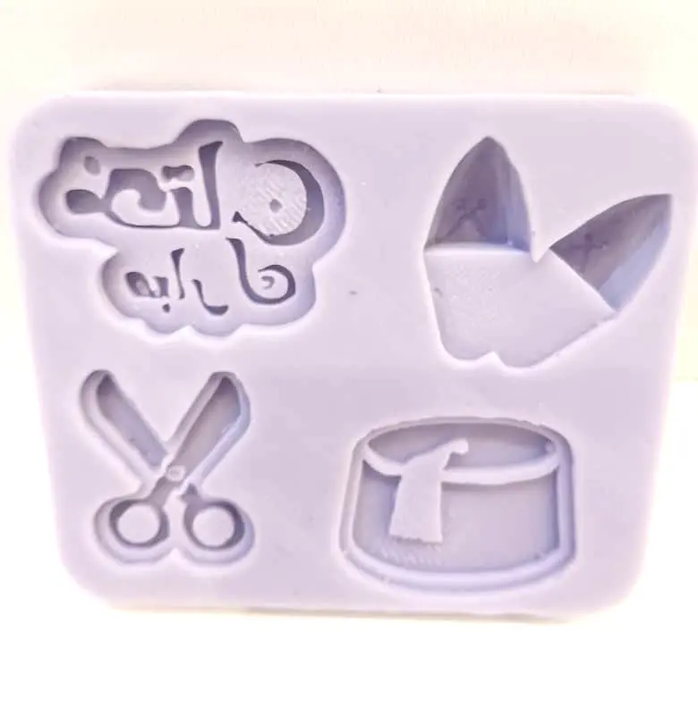 MOULE SILICONE PATE A SUCRE THARA CISEAU