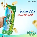 PRINTEMPS CARTON 2.5KG