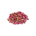 WARD CHOUCHE ROUGE HAB